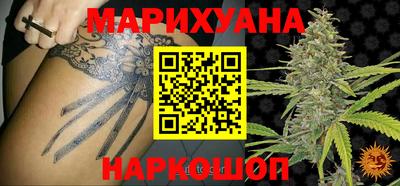 прущие грибы Нягань