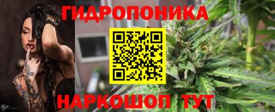 прущие грибы Нягань