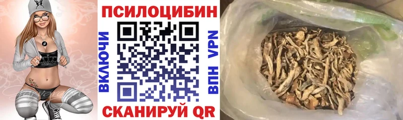 Купить закладки Сибай Галлюциногенные грибы Magic Shrooms