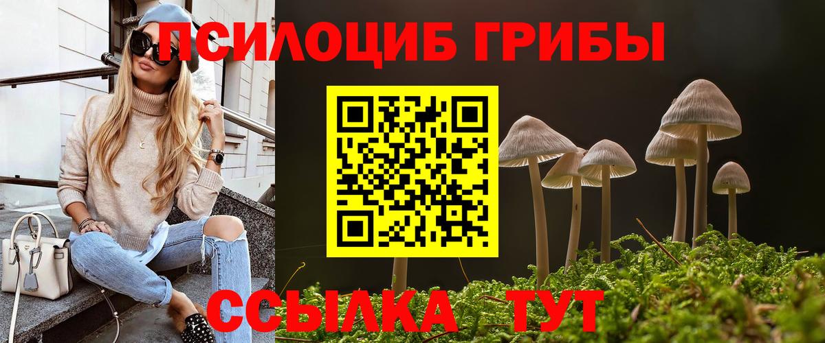 Галлюциногенные грибы Cubensis  магазин продажи наркотиков  Сибай  Псилоцибиновые грибы мухоморы 