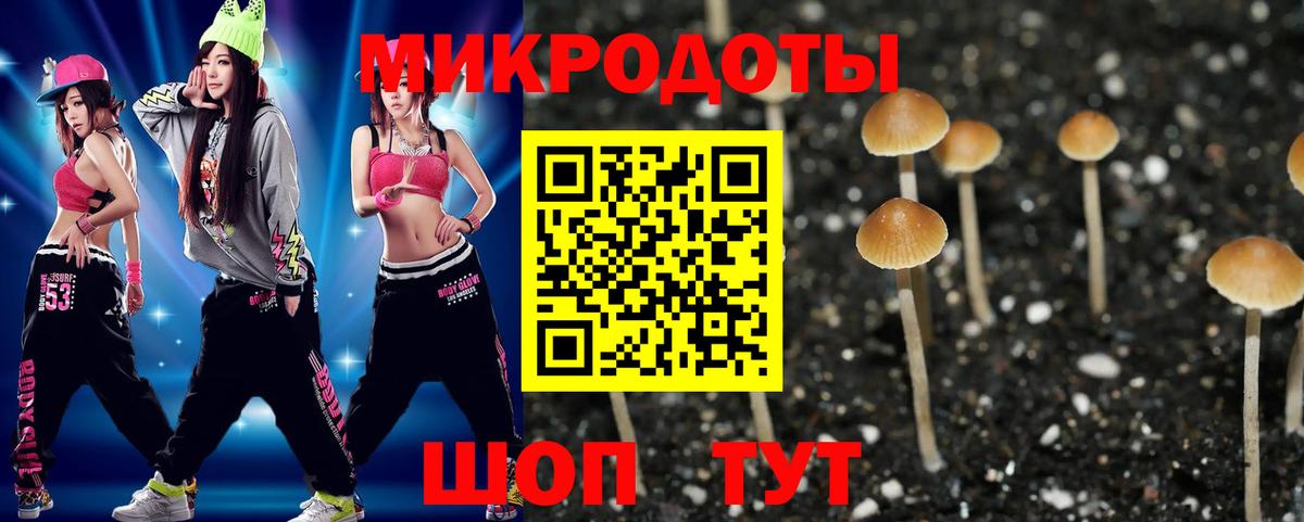 Псилоцибиновые грибы Cubensis Сибай